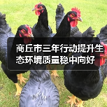 商丘市三年行动提升生态环境质量稳中向好(图4) 商丘市三年行动提升生态环境质量稳中向好(图4)