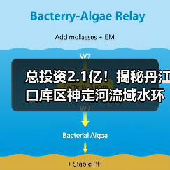 总投资2.1亿!揭秘丹江口库区神定河流域水环境综合治理项目(图1) 总投资2.1亿!揭秘丹江口库区神定河流域水环境综合治理项目(图1)
