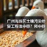 广州海珠区土壤污染修复工程谁中标?预中标金额2370万曝光!(图4) 广州海珠区土壤污染修复工程谁中标?预中标金额2370万曝光!(图4)