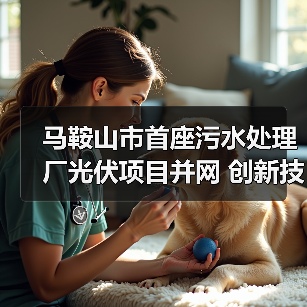 马鞍山市首座污水处理厂光伏项目并网 创新技术减排897吨(图4) 马鞍山市首座污水处理厂光伏项目并网 创新技术减排897吨(图4)