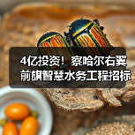 4亿投资!察哈尔右翼前旗智慧水务工程招标启动,哪些关键内容值得关注?(图2) 4亿投资!察哈尔右翼前旗智慧水务工程招标启动,哪些关键内容值得关注?(图2)