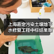 上海嘉定污染土壤地下水修复工程中标结果曝光(图3) 上海嘉定污染土壤地下水修复工程中标结果曝光(图3)