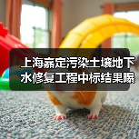 上海嘉定污染土壤地下水修复工程中标结果曝光(图4) 上海嘉定污染土壤地下水修复工程中标结果曝光(图4)