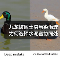 九龙坡区土壤污染治理为何选择水泥窑协同处置工艺?(图3) 九龙坡区土壤污染治理为何选择水泥窑协同处置工艺?(图3)
