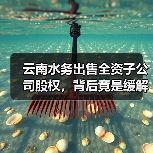云南水务出售全资子公司股权,背后竟是缓解财务危机?(图3) 云南水务出售全资子公司股权,背后竟是缓解财务危机?(图3)