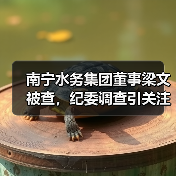 南宁水务集团董事梁文被查，纪委调查引关注（图3）
