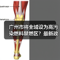 广州市将全域设为高污染燃料禁燃区?最新政策征询意见(图3) 广州市将全域设为高污染燃料禁燃区?最新政策征询意见(图3)