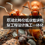 原湖北帅伦纸业地块修复工程设计施工一体化中标名单公布!(图2) 原湖北帅伦纸业地块修复工程设计施工一体化中标名单公布!(图2)
