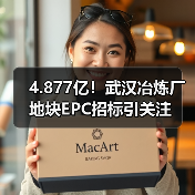 4.877亿!武汉冶炼厂地块EPC招标引关注(图1) 4.877亿!武汉冶炼厂地块EPC招标引关注(图1)