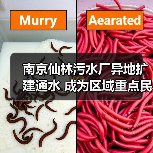 南京仙林污水厂异地扩建通水 成为区域重点民生工程(图3) 南京仙林污水厂异地扩建通水 成为区域重点民生工程(图3)