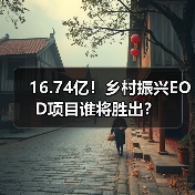 16.74亿!乡村振兴EOD项目谁将胜出?(图3) 16.74亿!乡村振兴EOD项目谁将胜出?(图3)