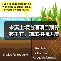 岑溪土壤治理项目预算破千万,施工招标进度如何?(图3) 岑溪土壤治理项目预算破千万,施工招标进度如何?(图3)