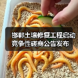 邯郸土壤修复工程启动 竞争性磋商公告发布（图1）