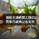 邯郸土壤修复工程启动 竞争性磋商公告发布（图3）