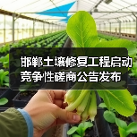 邯郸土壤修复工程启动 竞争性磋商公告发布（图4）