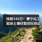 预算548万!泰宁化工地块土壤修复招标启动(图2) 预算548万!泰宁化工地块土壤修复招标启动(图2)