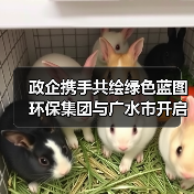 政企携手共绘绿色蓝图 环保集团与广水市开启合作新篇(图3) 政企携手共绘绿色蓝图 环保集团与广水市开启合作新篇(图3)