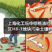 上海化工院中标桃浦社区H8-1地块污染土壤修复工程，2个月完成治理（图3）