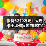 报价6240万元!大连污染土壤修复项目哪家企业中标?(图2) 报价6240万元!大连污染土壤修复项目哪家企业中标?(图2)