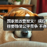 国家发改委发文!招投标要确保公平竞争 不得按企业所有制区别对待!(图3) 国家发改委发文!招投标要确保公平竞争 不得按企业所有制区别对待!(图3)