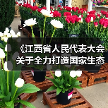 《江西省人民代表大会关于全力打造国家生态文明建设高地的决定(草案)》征求意见(图3) 《江西省人民代表大会关于全力打造国家生态文明建设高地的决定(草案)》征求意见(图3)