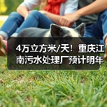 4万立方米/天!重庆江南污水处理厂预计明年4月试运行(图2) 4万立方米/天!重庆江南污水处理厂预计明年4月试运行(图2)