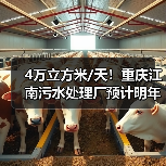 4万立方米/天!重庆江南污水处理厂预计明年4月试运行(图4) 4万立方米/天!重庆江南污水处理厂预计明年4月试运行(图4)
