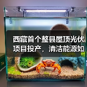 西藏首个整县屋顶光伏项目投产,清洁能源如何助力藏区发展?(图4) 西藏首个整县屋顶光伏项目投产,清洁能源如何助力藏区发展?(图4)