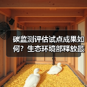 碳监测评估试点成果如何?生态环境部释放最新信号(图1) 碳监测评估试点成果如何?生态环境部释放最新信号(图1)