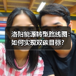 洛阳能源转型路线图:如何实现双碳目标?(图4) 洛阳能源转型路线图:如何实现双碳目标?(图4)