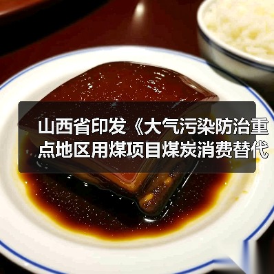 山西省印发《大气污染防治重点地区用煤项目煤炭消费替代管理办法》(图3) 山西省印发《大气污染防治重点地区用煤项目煤炭消费替代管理办法》(图3)