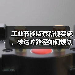 工业节能监察新规实施,碳达峰路径如何规划?(图3) 工业节能监察新规实施,碳达峰路径如何规划?(图3)