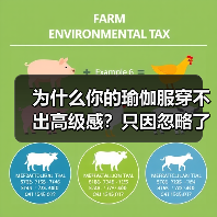 为什么你的瑜伽服穿不出高级感?只因忽略了这1步(图1) 为什么你的瑜伽服穿不出高级感?只因忽略了这1步(图1)