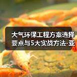 大气环保工程方案选择要点与5大实战方法-亚琛政策解读(图4) 大气环保工程方案选择要点与5大实战方法-亚琛政策解读(图4)